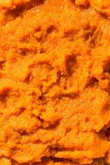 Organic Raw Orange Pumpkin Puree