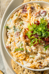 Homemade Million Dollar Cheese Dip