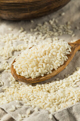 Raw Dry White Arborio Rice