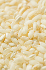 Raw Dry White Arborio Rice