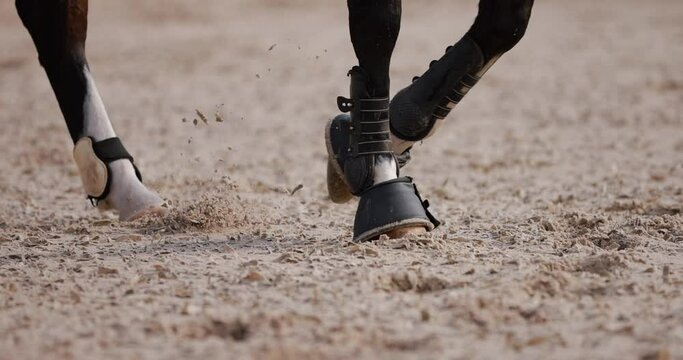 Horse hooves walking on sand, slow motion