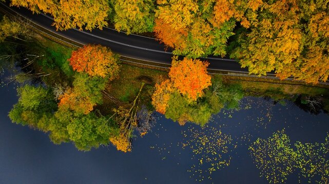 Aerial drone shot of the serene autumn atmosphere in Połczynska Switzerland, Poland. The photo captures a road running along the edge of a lake, tranquil waters, and the vibrant fall foliage.