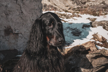 La Rhune enneig&eacute;e 