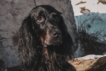 La Rhune enneig&eacute;e 