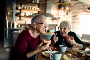 Elderly couple enjoying a lively breakfast together