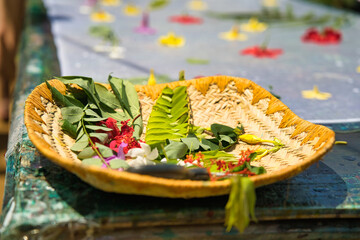 baskets of flowers and leaves near worktop for the sun print pareos