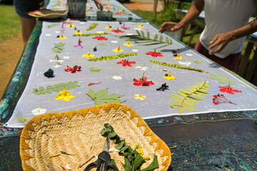 displayed flowers, ferns and leaves are ready to starts the paintings, Mahe Seychelles
