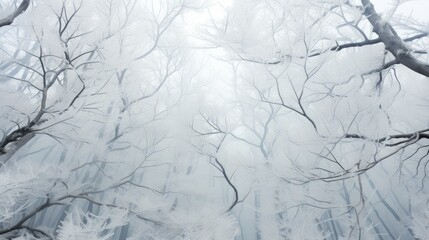 Fototapeta premium a forest filled with lots of tall trees covered in snow covered in a thick, foggy forest filled with lots of tall trees covered in snow covered in snow. generative ai