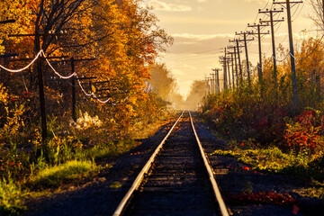 railroad track also known as a train track in Canadian autumn light - obrazy, fototapety, plakaty