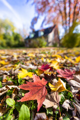 Traditional Canadian house in autumn