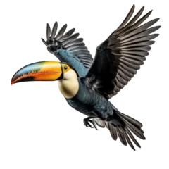 Deurstickers Toekan a flying toucan isolated