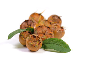 Mispeln, Mespilus germanica, Früchte vor weißem Hintergrund