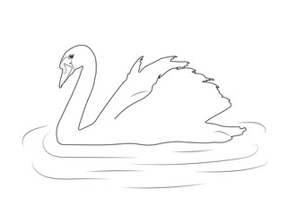 Swan doodle black stroke sketch isolated on white background. Vector illustration.