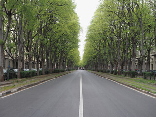 Broad boulevard in Turin city centre