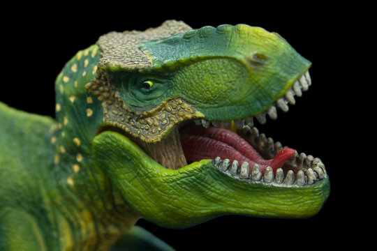 Tyrannosaurus Rex