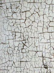 Old weathered antique board as a vintage background. The aged, white color of cracked, peeling paint reveals grayish wood underneath.