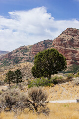 Red Canyons in the USA in fall. Beautiful landscape with red high mountains in autumn in orange and yellow tones. Echo Canyon, Utah, USA