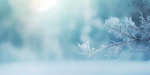 natural snow background with pine branch - obrazy, fototapety, plakaty