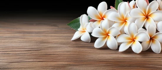 Fototapeten A plumeria flower in white color set against a backdrop of wooden material © 2rogan