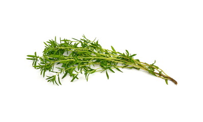 A bunch of garden savory or summer savory (Satureja hortensis)