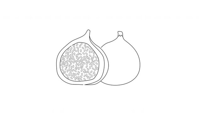Animation forms a sketch of the fig icon