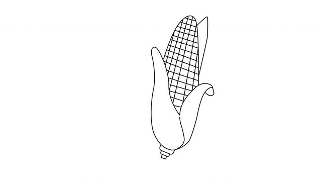 Animation forms a sketch of a corn icon