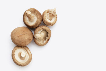 Fresh shiitake mushrooms on white background.