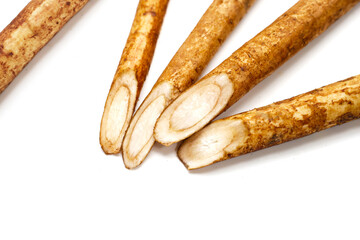 Burdock Root (Gobo) on white background.