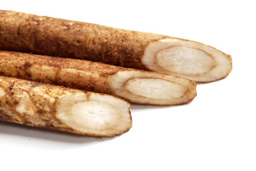 Burdock Root (Gobo) on white background.