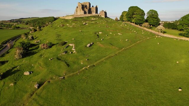 IRELAND- 8.27.2023 -Excellent aerial footage moving up a grassy hillside with grazing sheep towards the Rock of Cashel.