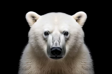 Fototapete Close-up portrait of polar bear isolated on black background. AI generated content. © Andrii