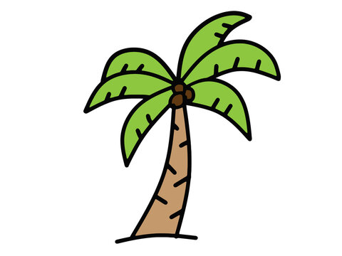 coconut palm tree summer icon design vector illustration