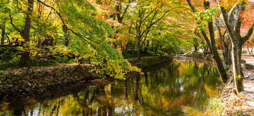 고창 선운사 계곡의 아름다운 단풍