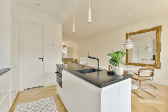 Modern kitchen with plants on island against large mirror