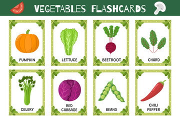 Vegetables flashcards set. Flash cards collection for practicing reading skills. Learn food vocabulary for school and preschool. Pumpkin, lettuce, celery and more. Vector illustration