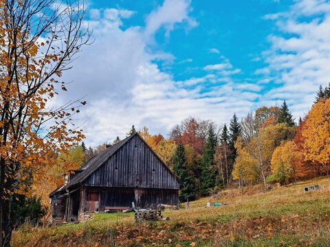 old barn in autumn