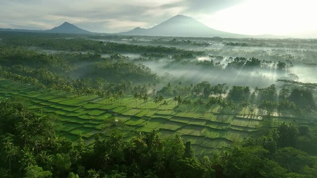 2023 - Excellent aerial footage circling a sunlit, misty green valley by the mountains in Ubud, Bali, Indonesia.