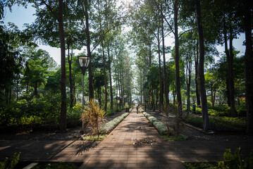 Fototapeta na wymiar Green open spaces filled with trees and ornamental plants
