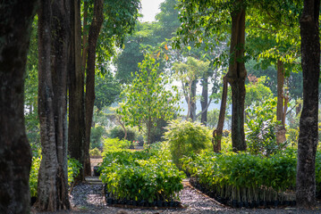 Green open spaces filled with trees and ornamental plants