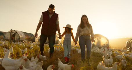 Agriculture, holding hands and chicken with family on farm for sustainability, environment and livestock industry. Sunset, nature and love with parents and child in countryside field for animals - obrazy, fototapety, plakaty