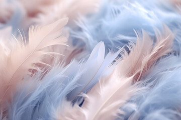 Fototapeta premium Background with blue and pink feathers