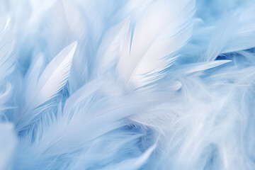 Background with blue feathers