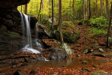 Emory Falls in Autumn
