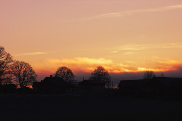 Silhouette trees and buildings against sky during sunset