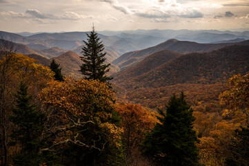 Brown and Orange Valley During Autumn in the Blue Ridge Mountains