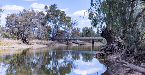 Australian River Gums beside creeks