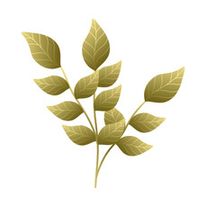 Gold leaf illustration