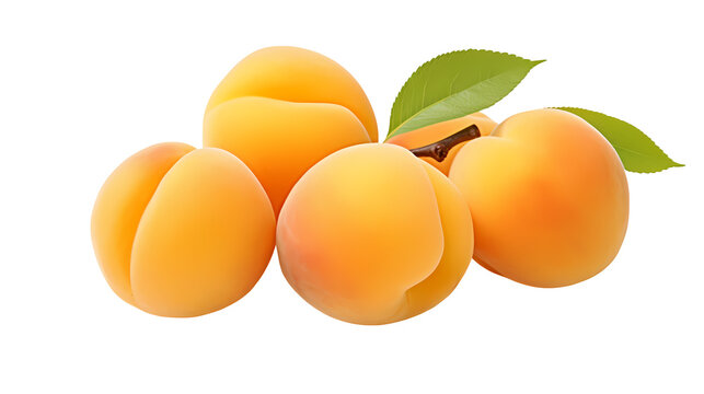 Apricots on transparent background