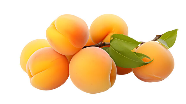 Apricots on transparent background