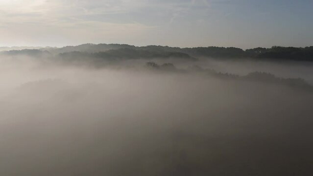 drone flying over trees and mist at sunrise early morning in Combe valley countryside park in Bexhill, Sussex 